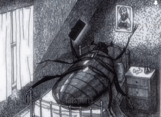 Reels izleyen böcek! Yatmadan önce reels kaydıran böcek Twitter memesi